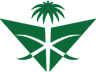 Saudi Airlines